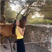 Cours de soutien scolaire. Reprise des cours. Préparation au examen